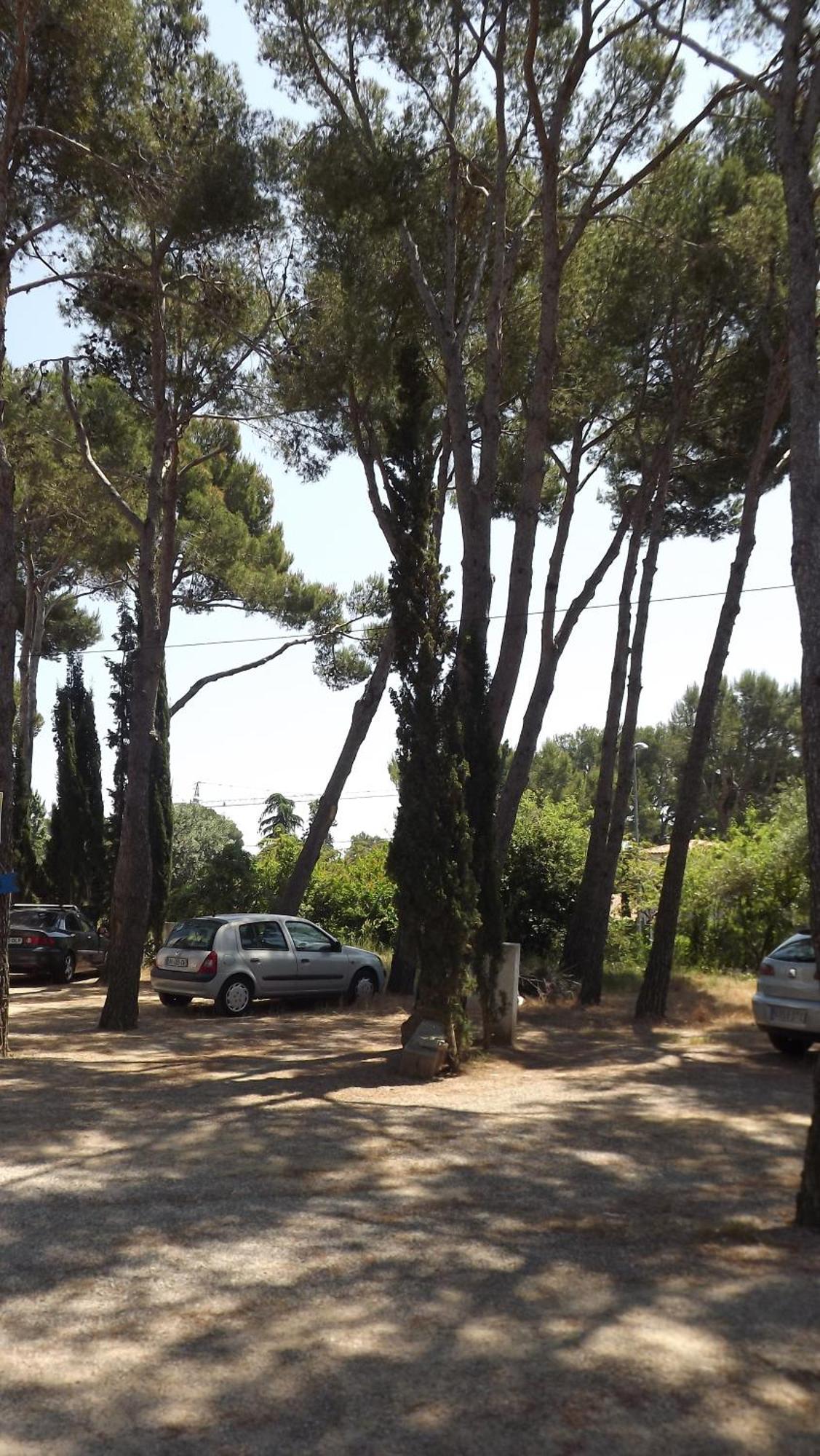 Rvapartaments Treumal Park Platja d'Aro Eksteriør billede