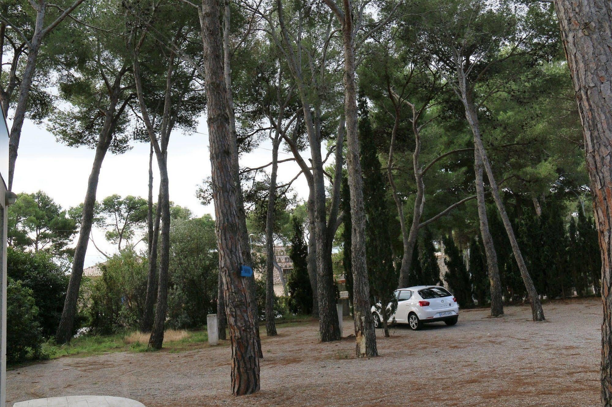 Rvapartaments Treumal Park Platja d'Aro Eksteriør billede